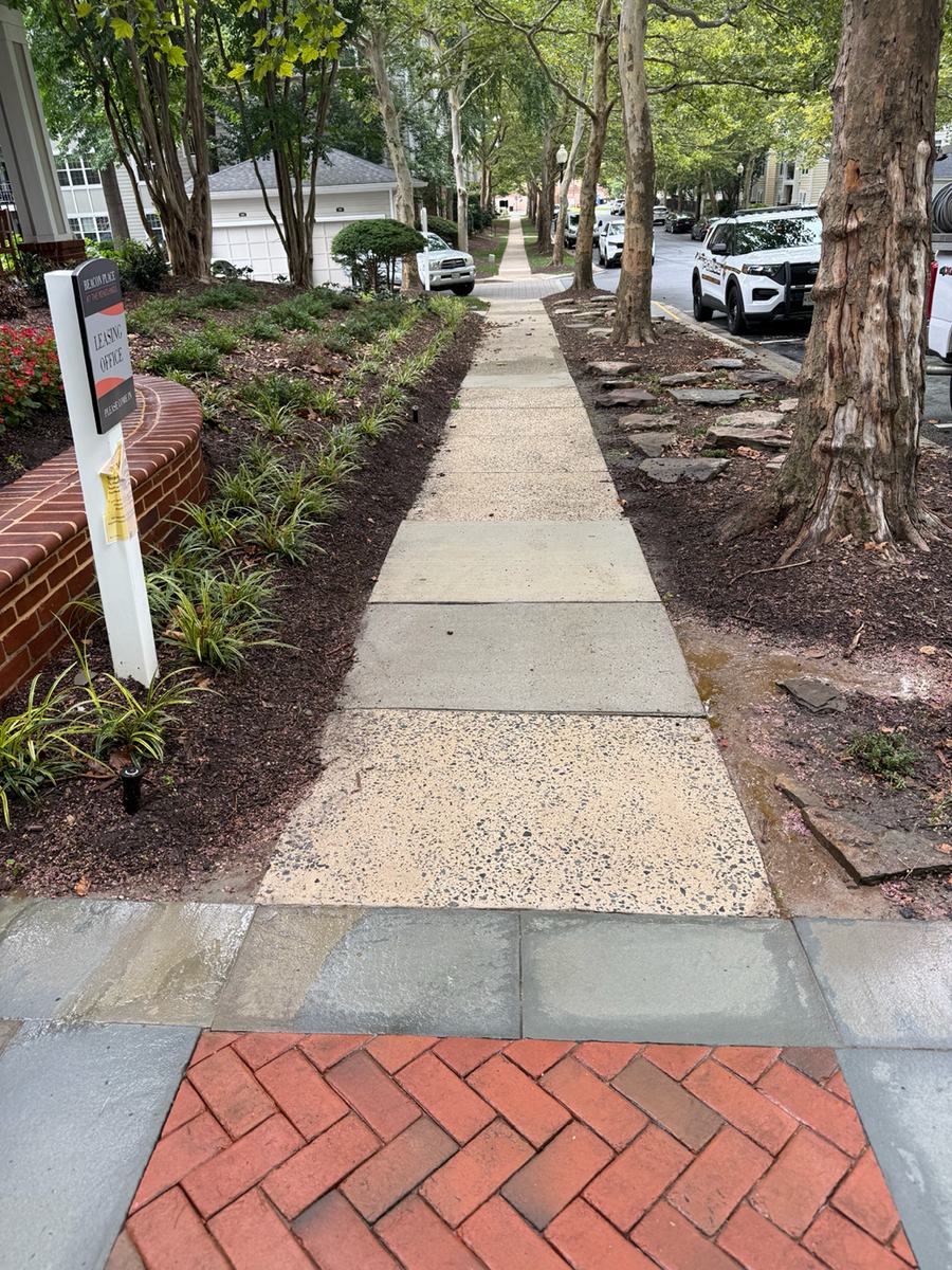 A cleaned pedestrian walkway leading to the leasing office, with pale concrete paving meeting a herringbone red brick apron under mature trees.